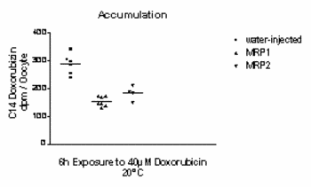 Figure 2: Accumulation of doxorubicin is decreased in oocytes injected with RNA encoding hMRP protein.