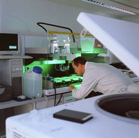 Automated pipetting of PCR-reactions.