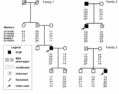 Fig. 2 Three pedigrees of patients carrying the W4R MLP