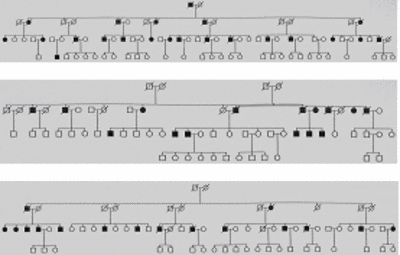 Fig 1: Exemplary pedigrees of our extended families with myocardial infarction.