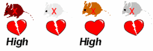 Fig. 2: Extensive cardiac phenotyping to identify strains with high and low penetrance of the mutant allele.