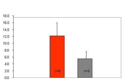 Abb. 3  Linksventrikuläre Dysfunktion bei der SHHF Ratte. SHHF Tire zeigen signifikant erhöhte linksventrikuläre enddiastolische Drücke (LVEDP, mmHg) die eine linksventrikuläre Dysfunktion belegen im Vergleich zur normotensiven Wistar-Kyoto Ratte (WKY).