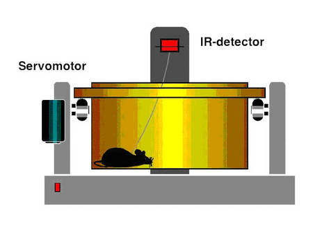 Scheme of the method