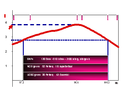 Fig 3: 1-LOD-drop support interval of the linkage signal on chromosome 14q32, representing the 95%-confidence area of our chromosomal region. Flashes on the upper border of the graph symbolise the position of a microsatellite marker, the numbers on the bottom of the graph represent the posi-tion on the chromosome.