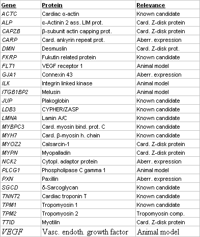 Table 1 Candidate genes for DCM screened by DGGE